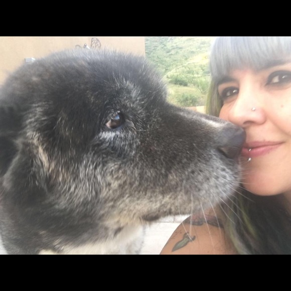 Hi - Picture 10 of 13